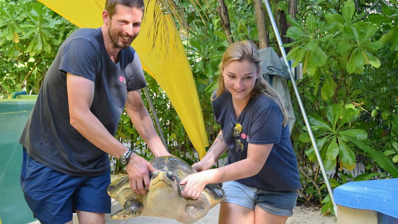 Still image for Secrets of the Aquarium season 1 episode 3: Do You Have Room for a Turtle? Still image for Secrets of the Aquarium season 1 episode 3: Do You Have Room for a Turtle?