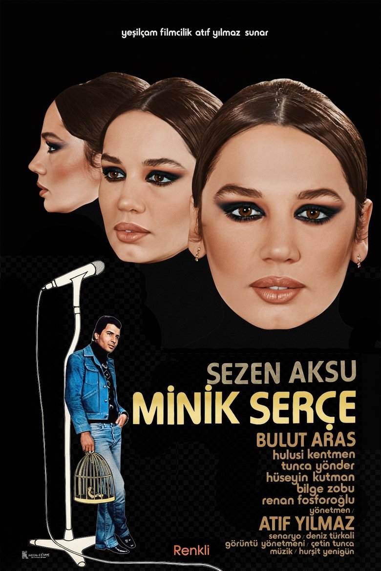 The Little Sparrow poster