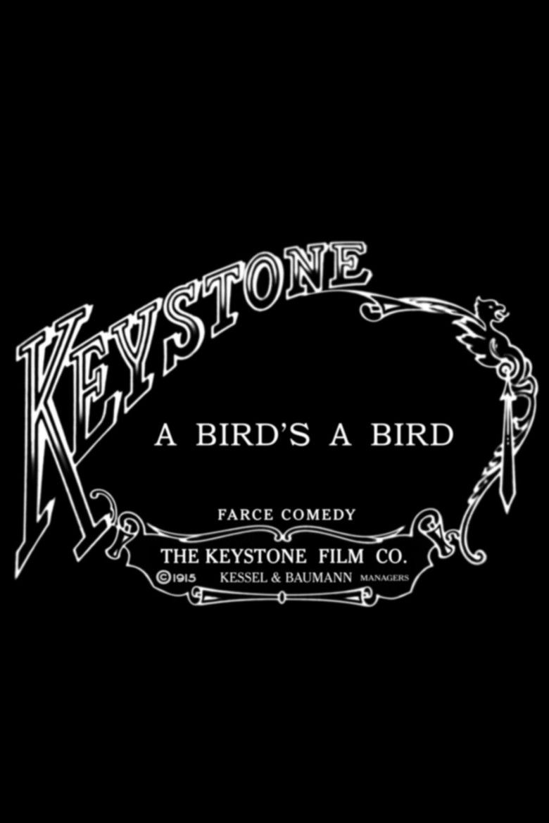 Imatge de A Bird's a Bird