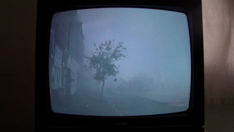 Gallery image from yhGXxBuqXdGz3ALHmqvrMPrJjtq.jpg