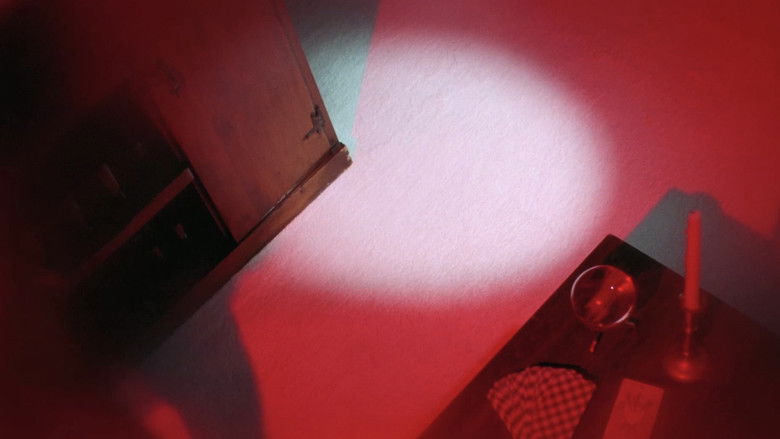 Image d'arrière-plan 11 du film The Love Witch