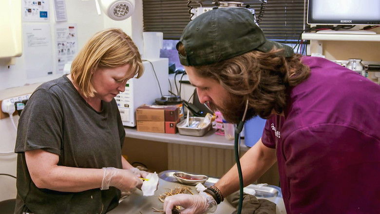 Still image for Joanna Page's Wild Life season 1 episode 6: Episode 6