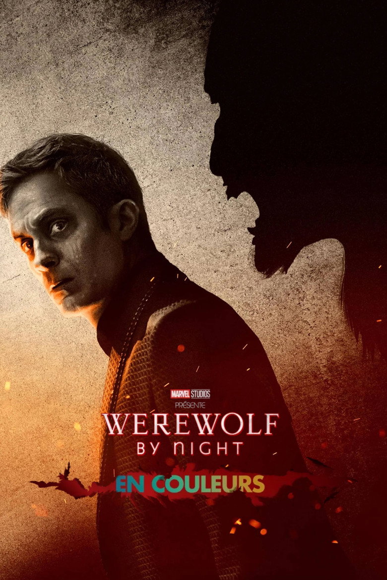 Póster la Película