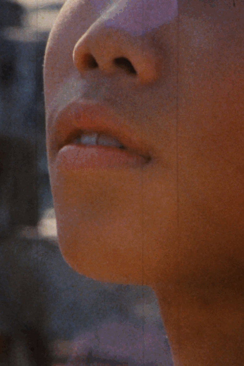 Imatge de 光景獲り