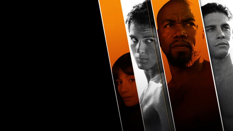 Backdrop de Never Back Down Collection