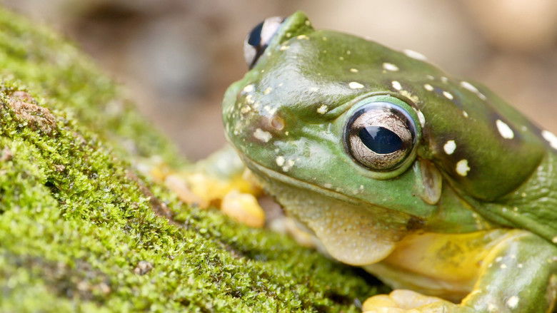 Still image for Secrets of Wild Australia season 1 episode 7: The Waterhole Still image for Secrets of Wild Australia season 1 episode 7: The Waterhole