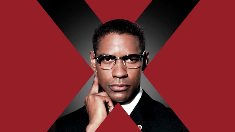 Malcolm X / მალკოლმ X