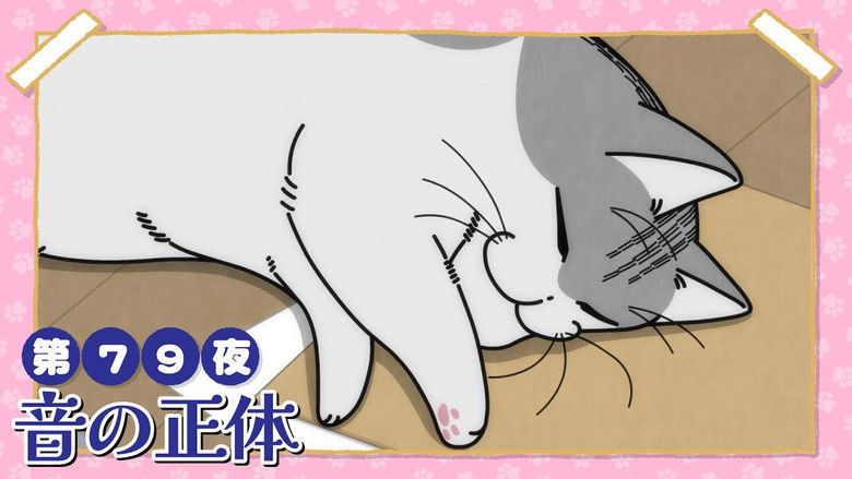 Still image for Nights with a Cat season 1 episode 79: Night 79: The Source of the Sound