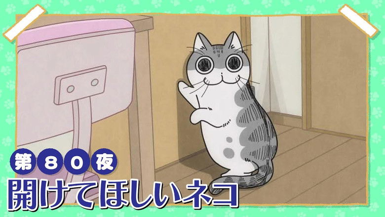 Still image for Nights with a Cat season 1 episode 80: Night 80: The Cat Who Wants the Door Opened