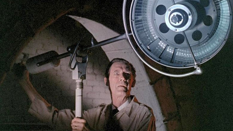 Gallery image from yjGtVOEfmdzHiZhLJUDGkCrcyyk.jpg