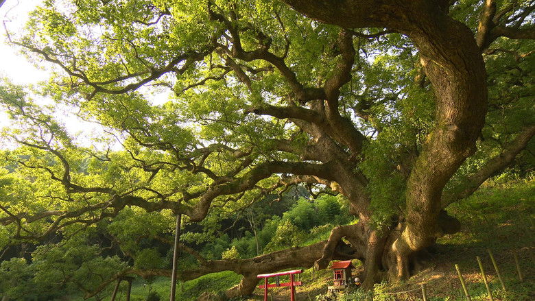 Still image for The Mark of Beauty season 1 episode 470: Episode 470 Still image for The Mark of Beauty season 1 episode 470: Episode 470