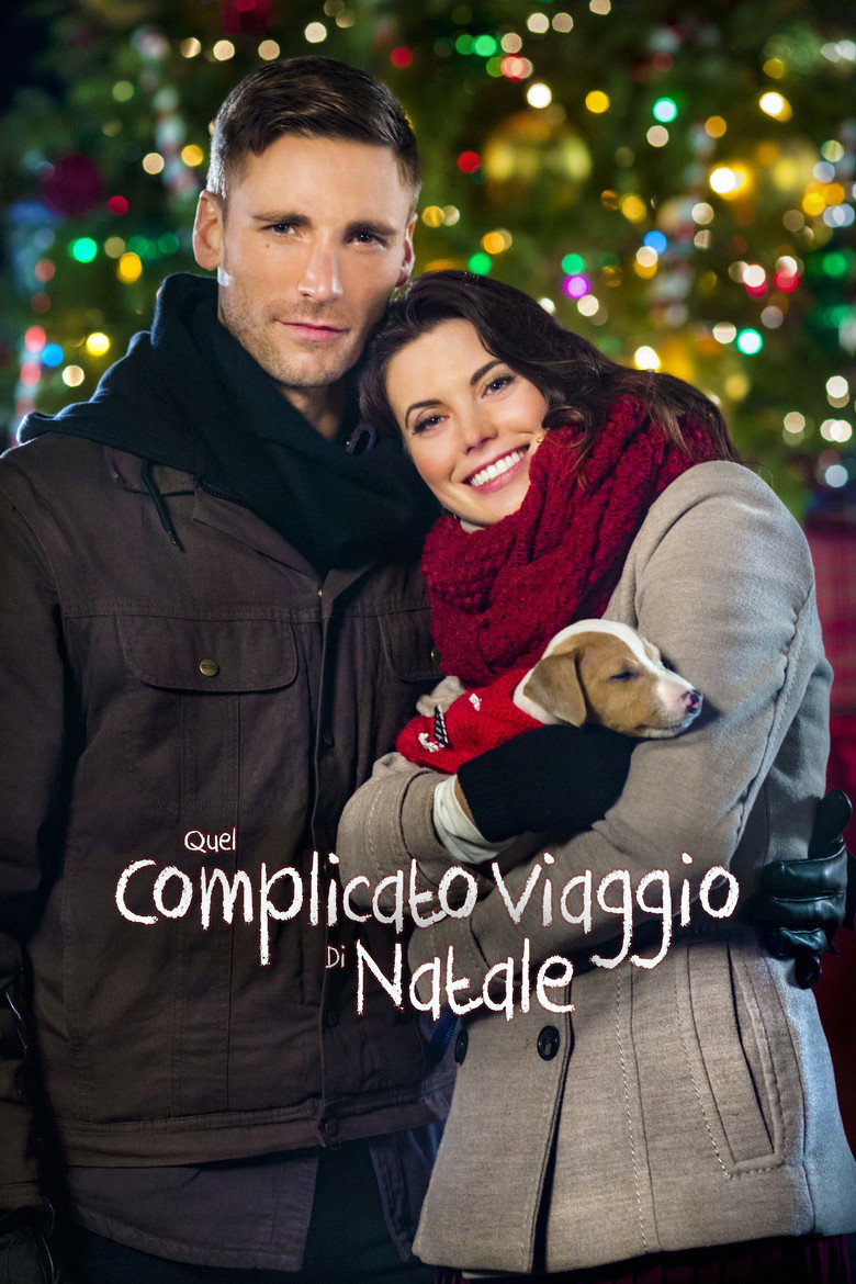 Copertina di Quel complicato viaggio di Natale