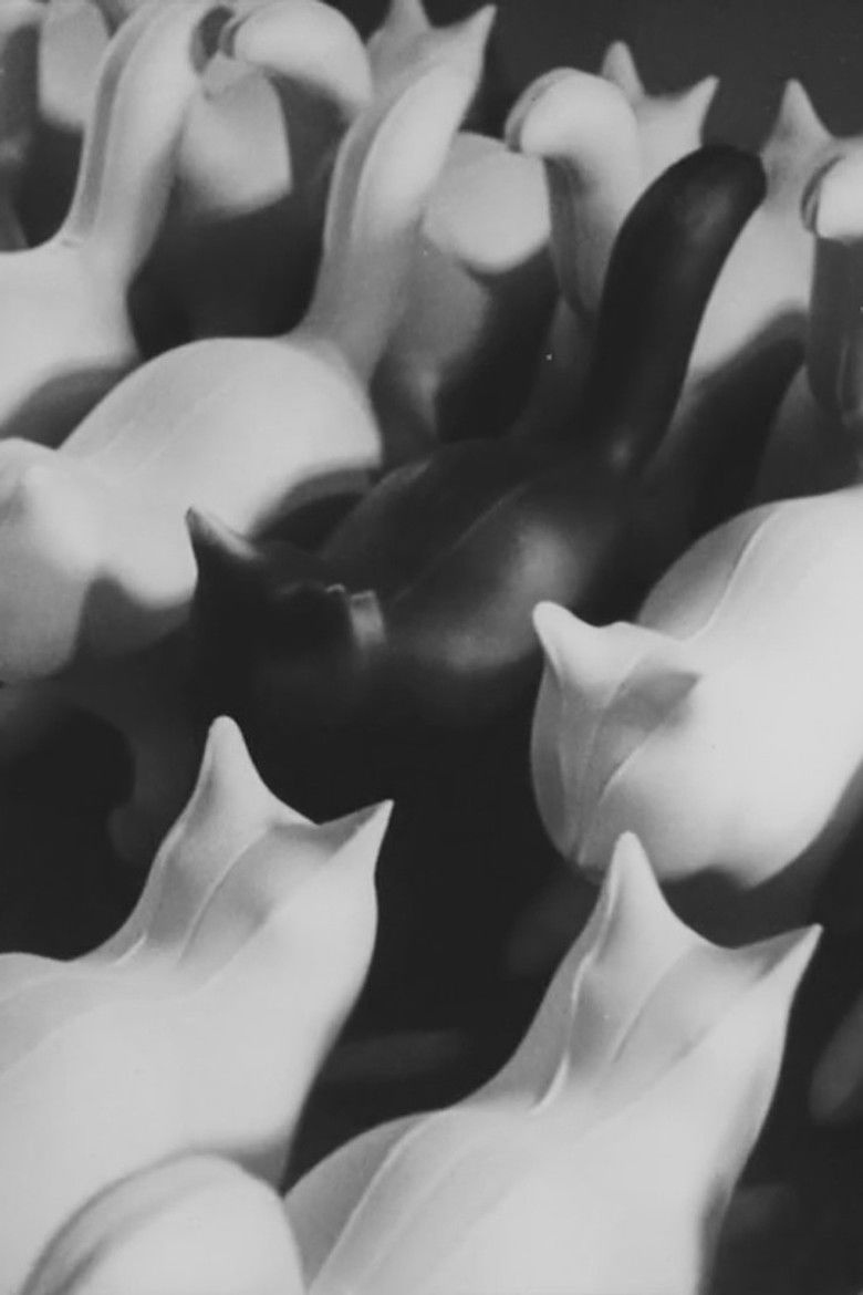 Imatge de Sõnadeta lugu