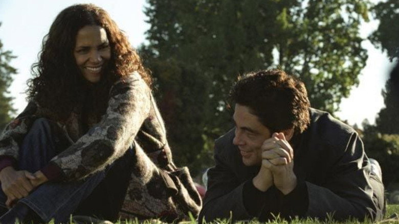 Things We Lost in the Fire image 11