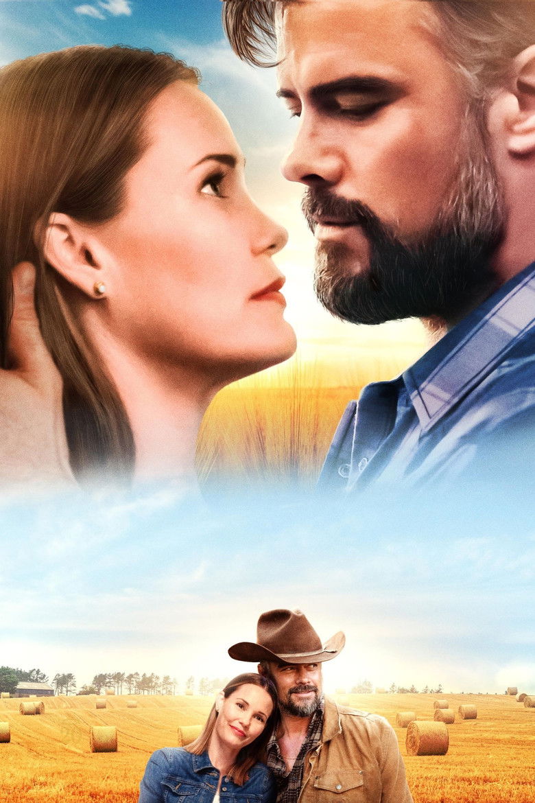 Imatge de The Lost Husband