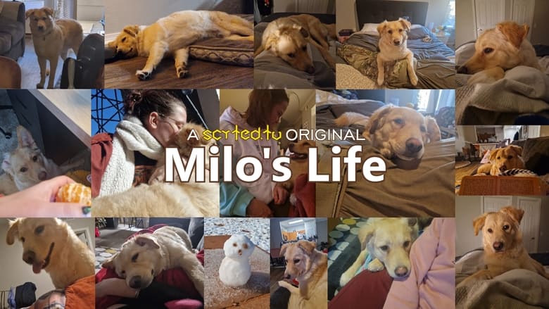 Milo%27s+Life