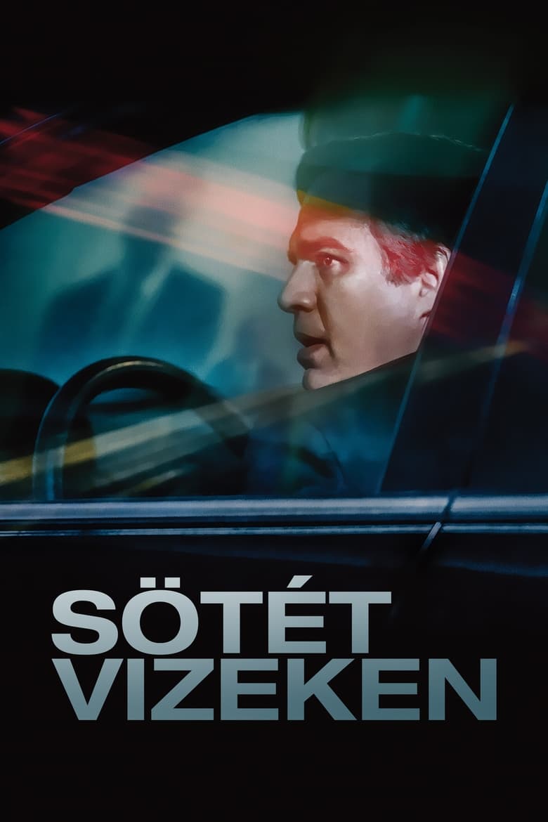 S&ouml;t&eacute;t vizeken (2019)