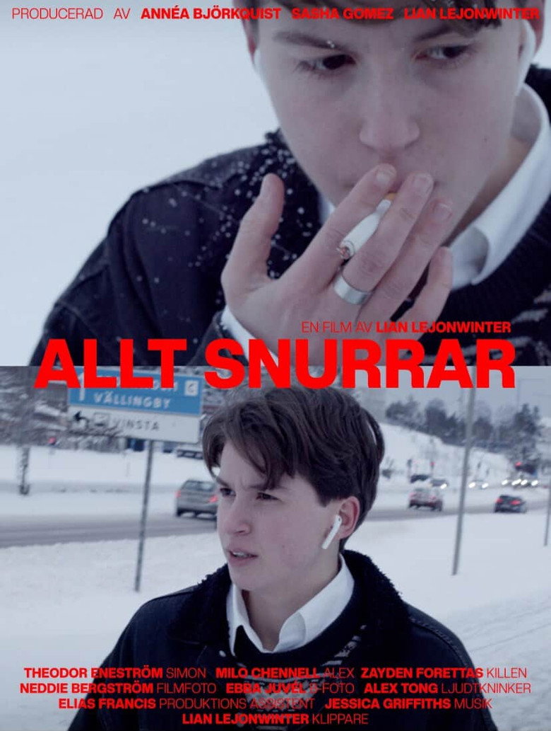 Imatge de Allt Snurrar