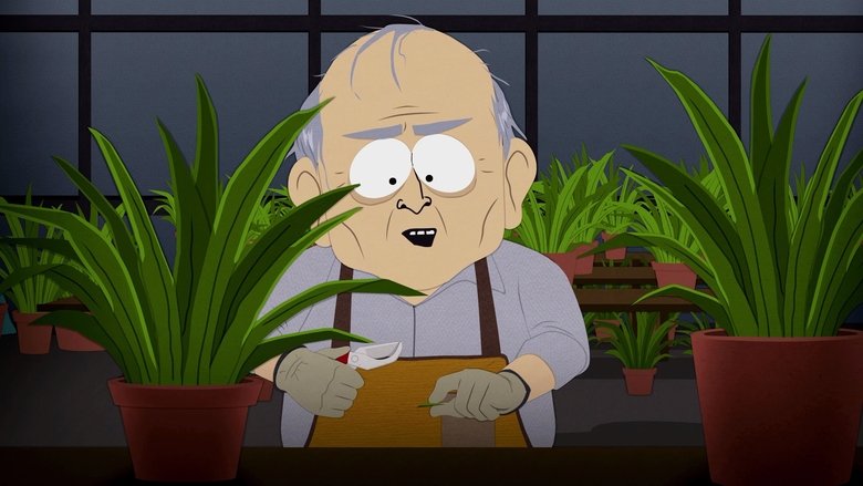 south park saison 16 vf hd torrent south park saison 16 vf hd torrent