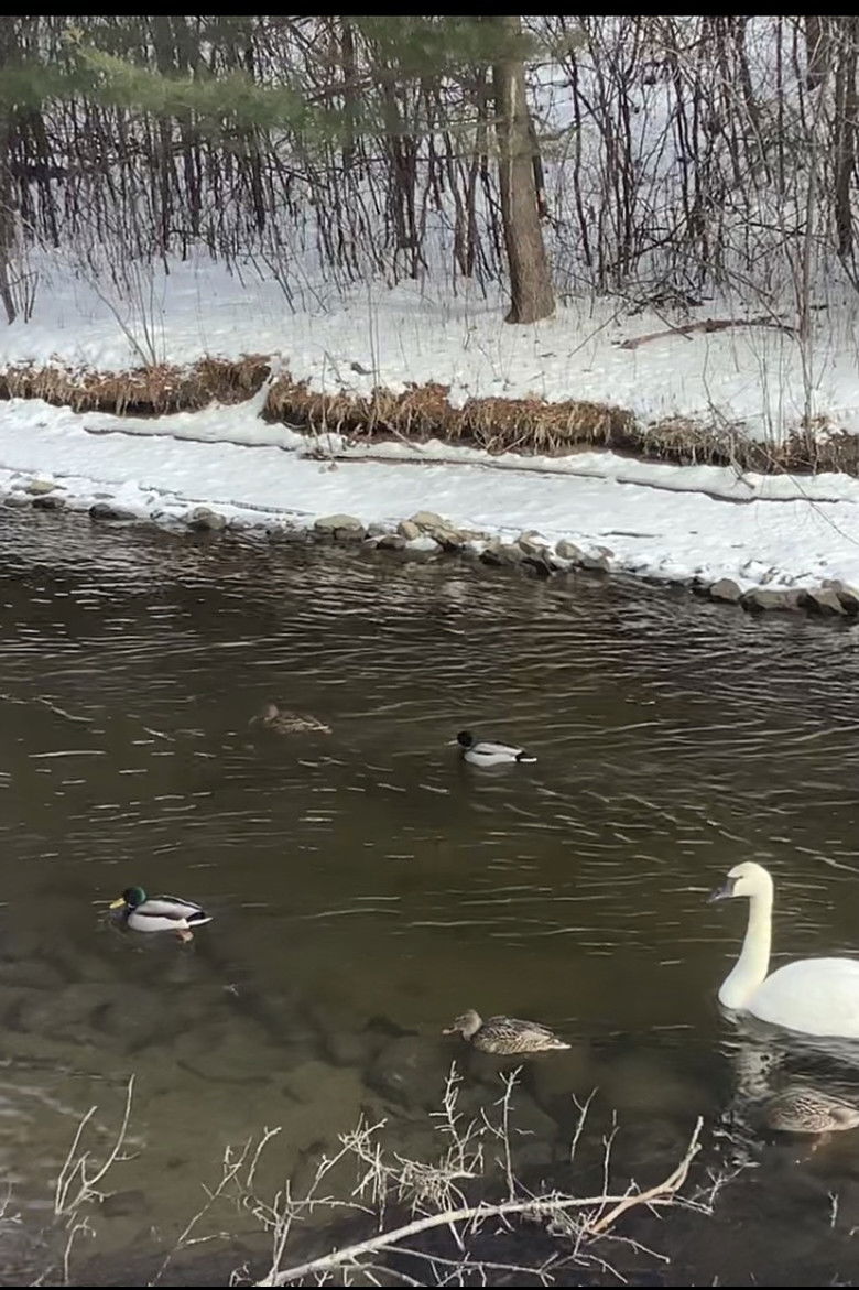 Imatge de a moment of recovery