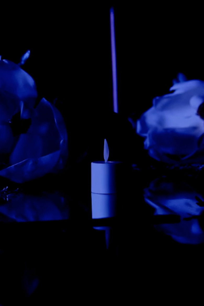 Imatge de Figure Minus Fact