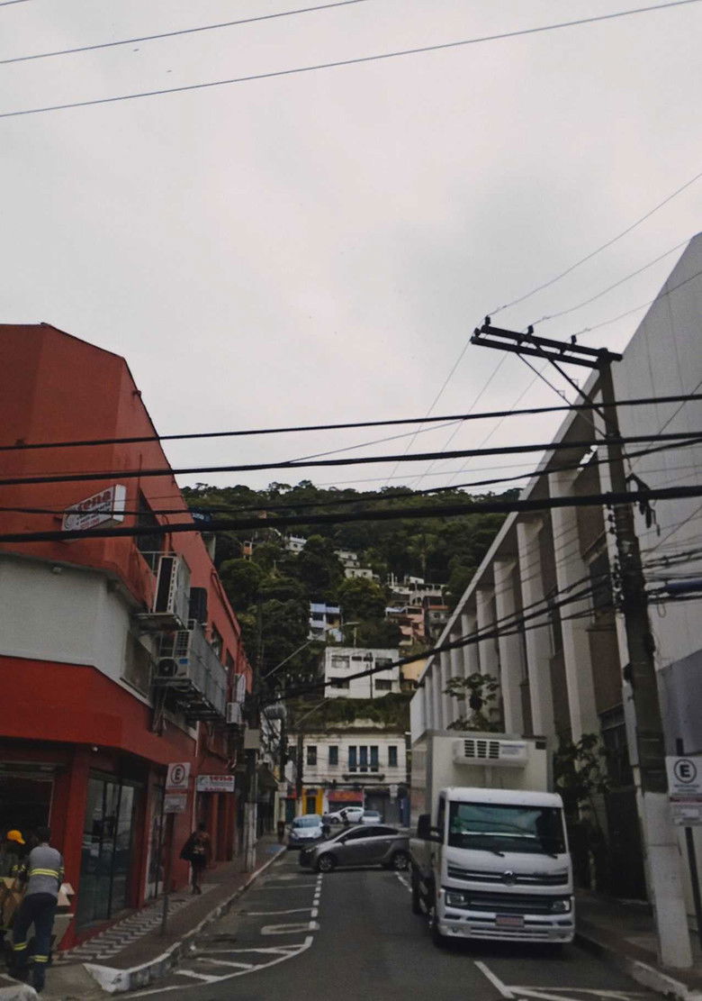 Imatge de Flores em Quadros