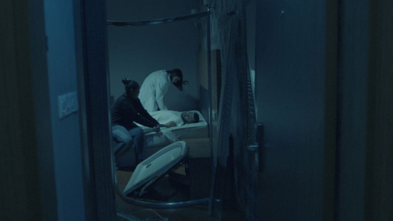 Image d'arrière-plan 4 du film Visualization