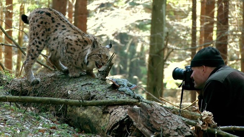 Gallery image from yoi6XyQ9Czx0xb6uPjHNyFVeg0k.jpg