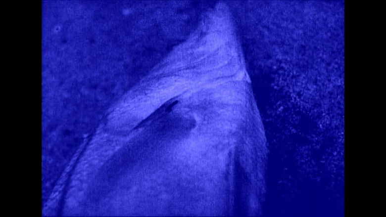 Gallery image from yorcNbQkfUdkoGs1YxGhLGqnLPK.jpg