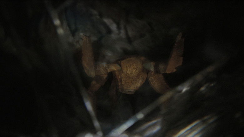 Yp51qdpy5p21zaij2ts5mva2r8k