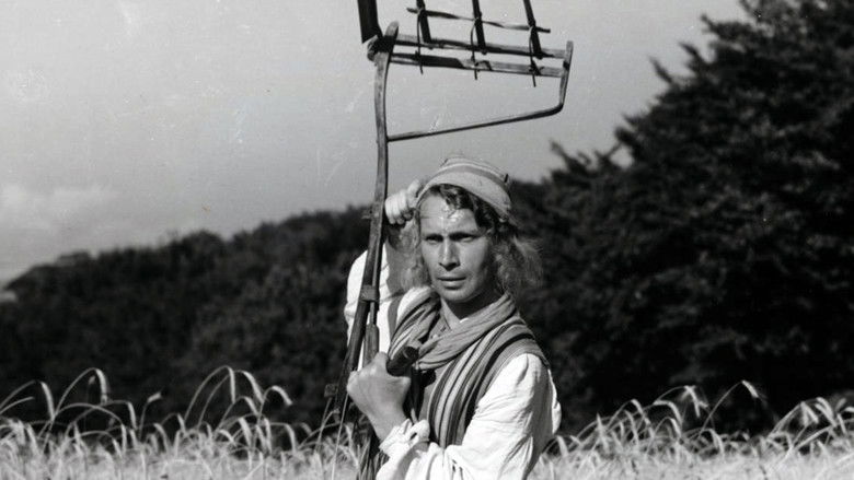 Imatge de Op med lille Martha