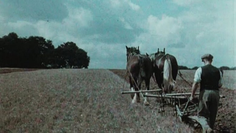 English Harvest main backdrop