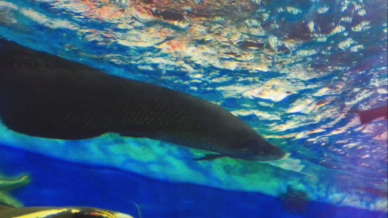 Silent Breaths Beneath Electric Glow (2024)