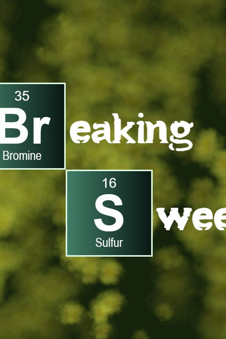 Imatge de Breaking Sweet