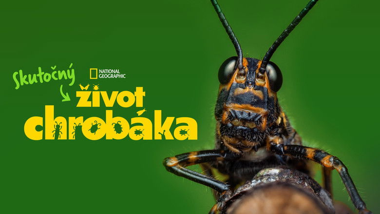 Gallery image from ypWL7kixuOg4Lu1Qm5AjEGbHuwZ.jpg