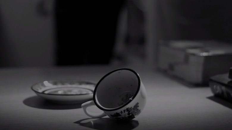 Gallery image from ypXdPmY0gJPhiCjb3sKFhrklRK7.jpg