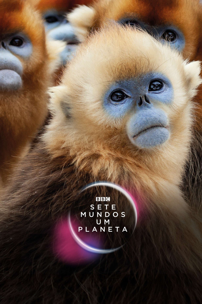 Sete Mundos Um Planeta 2019 (2019)