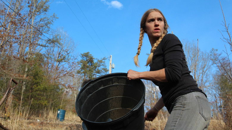 Down the Rabbit Hole