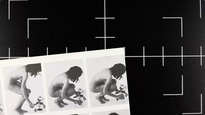 Life Model galeri 1