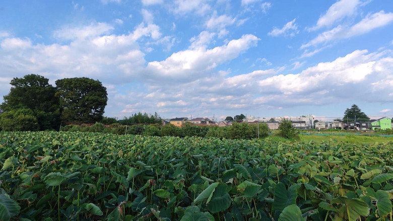 Kodaira – Savoring a Taste of Country Life
