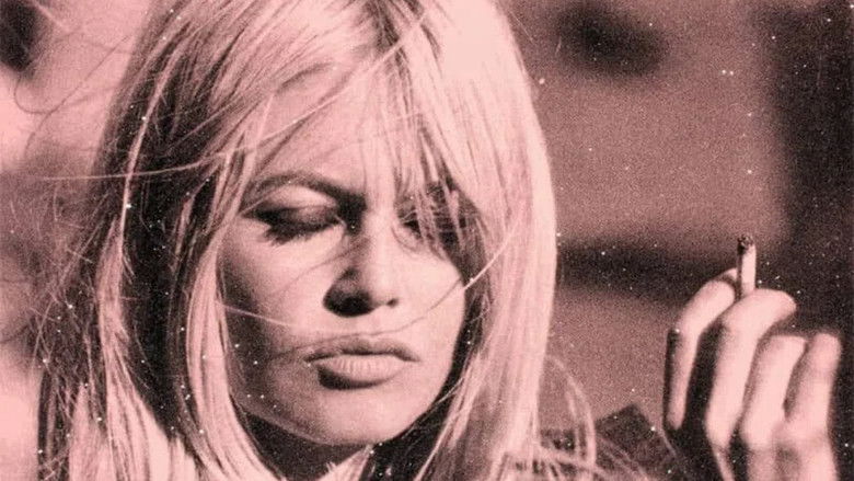 Imatge de Bardot, la méprise