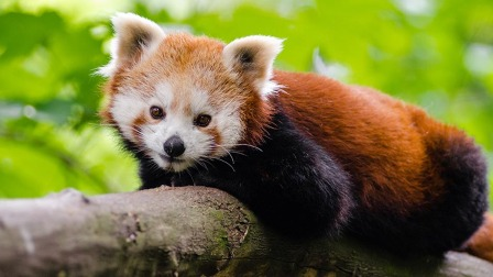 Still image for Dawn to Dusk season 1 episode 2: Episode 2