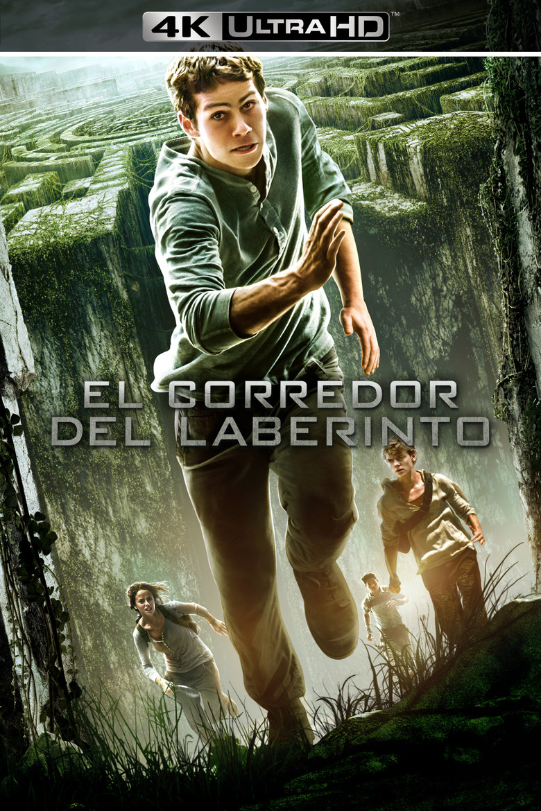 Póster la Película