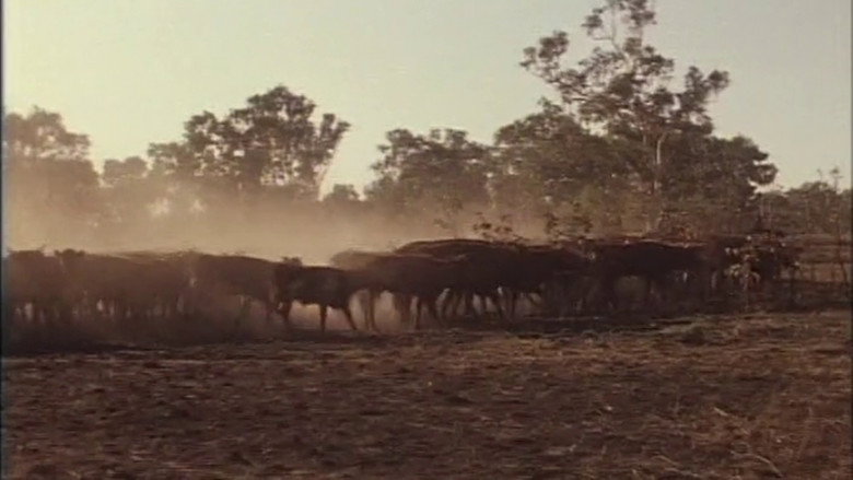 Imatge de Over The Range