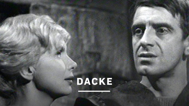 Dacke image 2