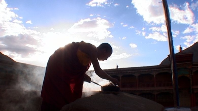 Gallery image from yuJ2kodH70ykVDGo0PAyUEFKs6g.jpg