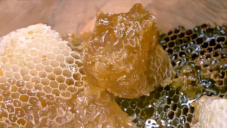 Still image for The Bee Whisperers season 1 episode 11: Episode 11