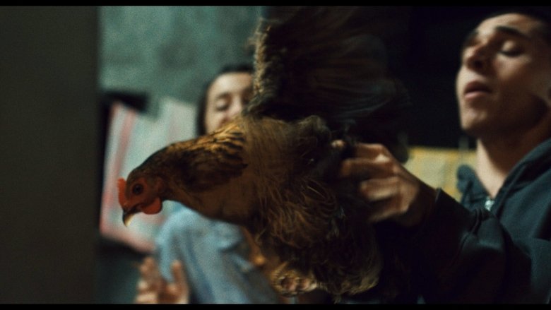 Gallery image from yueDqxRdOAOrmFyu1XqpZyD8poP.jpg