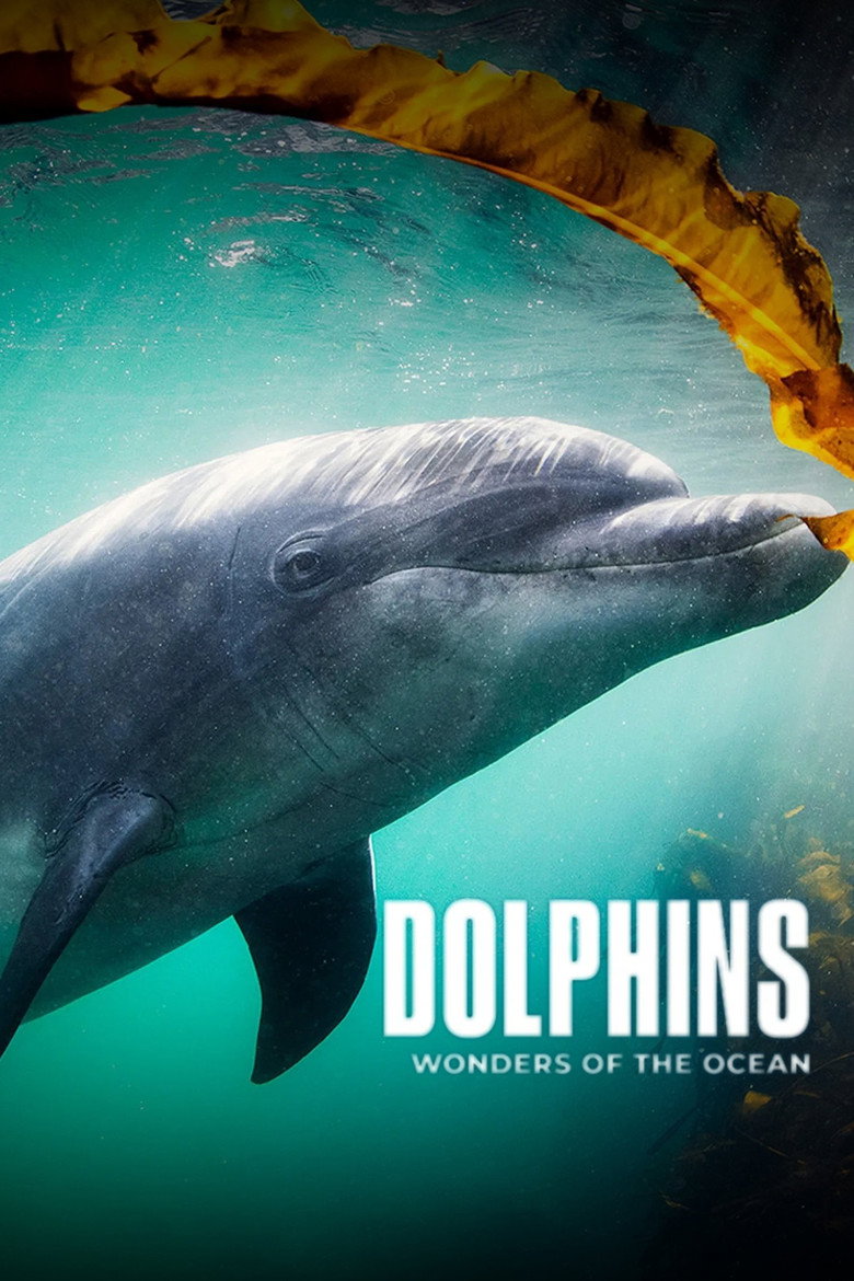 Official poster for Dolphins - Wonders of the Ocean