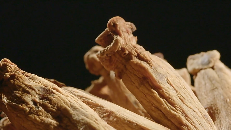 Still image for 本草传 season 1 episode 5: Episode 5